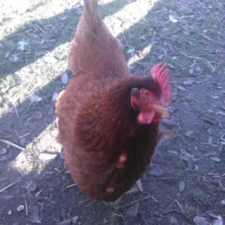 Villaclotilde Nocleg ze śniadaniem 3*