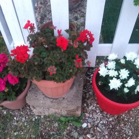 Bed&Breakfast Villaclotilde * Civitanova Marche